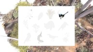 Paperbark - Steam - Key GLOBAL