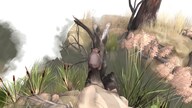 Paperbark - Steam - Key GLOBAL