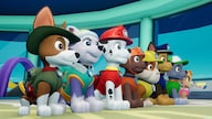 Paw Patrol: On a Roll (PC) - Steam Key - GLOBAL