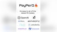 PayPerQ (PPQ.AI) Voucher 5 USD - ppq.ai Key - GLOBAL