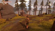 Pine - Steam - Gift EUROPE