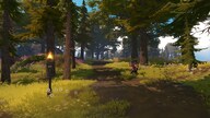 Pine - Steam - Gift EUROPE