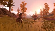Pine - Steam - Gift EUROPE