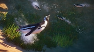 Planet Zoo: Africa Pack (PC) - Steam Key - GLOBAL