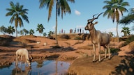 Planet Zoo: Arid Animal Pack (PC) - Steam Key - GLOBAL