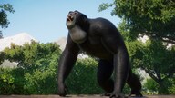 Planet Zoo: Conservation Pack (PC) - Steam Gift - GLOBAL