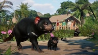 Planet Zoo: Oceania Pack (PC) - Steam Key - GLOBAL