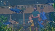 Planet Zoo: Oceania Pack (PC) - Steam Key - GLOBAL