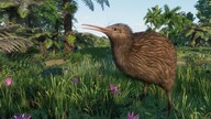 Planet Zoo: Oceania Pack (PC) - Steam Key - GLOBAL