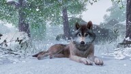 Planet Zoo | Premium Edition (October 2021) (PC) - Steam Key - GLOBAL