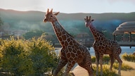 Planet Zoo Steam Key GLOBAL