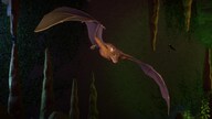 Planet Zoo: Twilight Pack (PC) - Steam Gift - GLOBAL