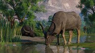 Planet Zoo: Wetlands Animal Pack (PC) - Steam Key - EUROPE