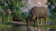 Planet Zoo: Wetlands Animal Pack (PC) - Steam Key - GLOBAL
