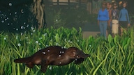 Planet Zoo: Wetlands Animal Pack (PC) - Steam Key - GLOBAL