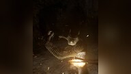 Prevent The Fall Steam Key GLOBAL