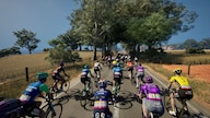 Pro Cycling Manager 25 (PC) - Steam Key - GLOBAL