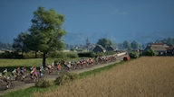 Pro Cycling Manager 25 (PC) - Steam Key - GLOBAL