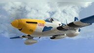 RealFlight 9.5S (PC) - Steam Gift - NORTH AMERICA