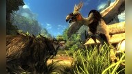Risen Collection Steam Key GLOBAL