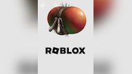 Roblox - Freaky Fly Face (PC) - Roblox Key - GLOBAL