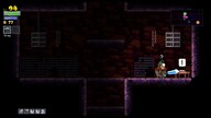 Rogue Legacy Steam Key GLOBAL