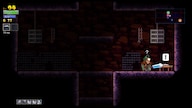 Rogue Legacy Steam Key GLOBAL