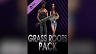 Saints Row IV Grass Roots Pack Steam Key GLOBAL