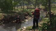 SCUM (PC) - Steam Key - ROW