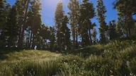 SCUM - (PC) Steam Key - GLOBAL