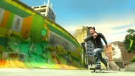Shaun White Skateboarding Ubisoft Connect Key GLOBAL