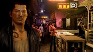 Sleeping Dogs Steam Key GERMANY