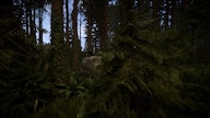 Sons Of The Forest (PC) - Steam Key - EUROPE