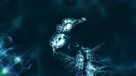 Sparkle ZERO Steam Key GLOBAL