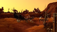 SpellForce 2 - Anniversary Edition (PC) - Steam Key - GLOBAL