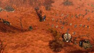 SpellForce 2 - Faith in Destiny Scenario 2: The Golden Fool Steam Gift GLOBAL