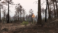 Spintires - Chernobyl - Steam Key - GLOBAL