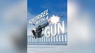 Squirrel with a Gun (PC) - Steam Key - GLOBAL