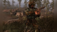 S.T.A.L.K.E.R.: Bundle (PC) - Steam Key - GLOBAL