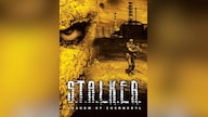 S.T.A.L.K.E.R. Shadow of Chernobyl (PC) - Steam Key - GLOBAL