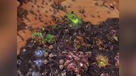 StarCraft 2: Battle Chest Battle.net Key GLOBAL
