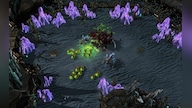 Starcraft 2: Heart of the Swarm Battle.net Key GLOBAL