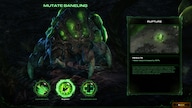 Starcraft 2: Heart of the Swarm Battle.net Key GLOBAL