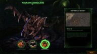 Starcraft 2: Heart of the Swarm Key Blizzard EUROPE