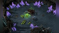 Starcraft 2: Heart of the Swarm Key Blizzard EUROPE