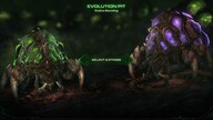 Starcraft 2: Heart of the Swarm Key Blizzard EUROPE