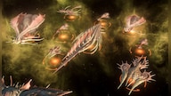 Stellaris: BioGenesis (PC) - Steam Key - EUROPE