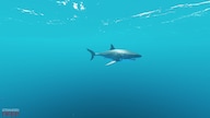 Stranded Deep (PC) - Epic Games Account - GLOBAL