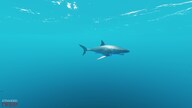 Stranded Deep (PC) - Steam Gift - JAPAN