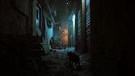 Stray (Xbox Series X/S, Windows 10) - Xbox Live Account - GLOBAL